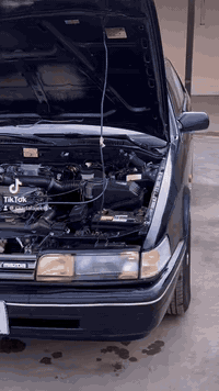 مازده 626  8 بخ نوزل سياره جديده  صبغ عام بدون ضرر شرط مكينه كير صدر كله جديد تبريد اصلي موديل 91 سياره فول اوتو فقط كير عادي جام كهرب مري كهرب ويل سوبر تفاصيلها بالصور وصورها تحجي عن نضافتها 

رقم جديد هزه جديده تحويل مباشر كابون بانزين كي كارد يم الشرعي 

#السعر_48 نقد بيها مجال بسيط اعتذر عن القسط وعن المراوس بسياره فحص 

ترهم مراوس ويا بي ام  او فكتره او بطه او ارنب كلشي يرهم وصاحب الفرق ياخذ فقط رقم الماني استقبل 

مكاني موصل ناحيه القياره معرض الشهيد ابو زوبع 

***********
