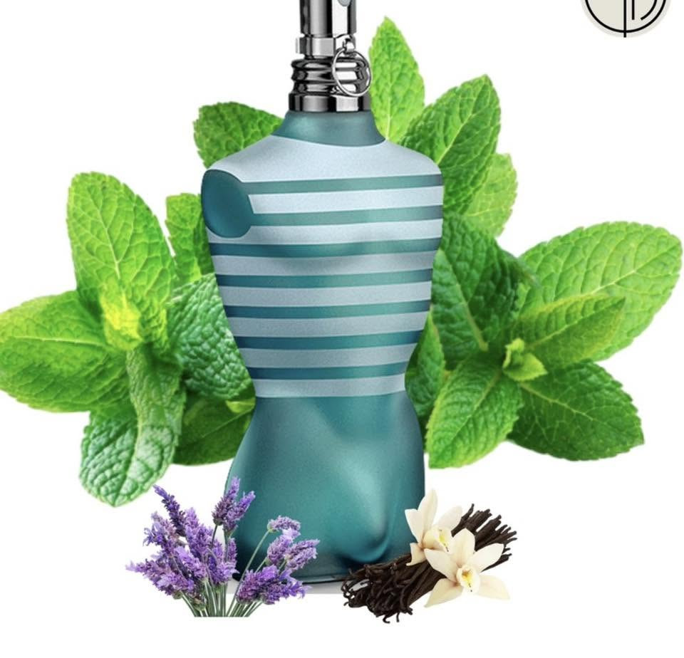 مساء الخير حبايب ، عندي بيج تقسيمات العطور الاصلية و كم طلب طلع كم مرة
بهل كروب و نال اعجابهم ✨✨ 
راح احجيلكم شوية على شكم عطر صيفي متوفرة تقسيماته ب اسعار جدا حلوة 

عطر كيلفن كلاين ذا مومنت الي يخلي يحس نفسة بوكيه ورد متنقل رَهيب هذا العطر🎀🎀 

عطور ابراهيم القرشي جداااا طيبة و صيفية بنك دايموند يكون نظافة و ازهار ب الضبط كأنما طالعة من الشاور 🥰

البربل هاوت سويت خفيف و ازهار  اهم شي ميكون ثقيل ب هذا الجوو 🥹🎀 

و اخيرا عطر رجالي لاميل من جان بول بارددد ومنعش كل الصور  موجودة ب بالبوست 

و تنورني ب الحساب 

https://www.instagram.com/lubna_perfume298?igsh=dmV2enI0ZDg0Zjhn&utm_source=qr


**إذا كنت صاحب هذا الإعلان وتريد حذفه لأي سبب، رجاءا أرسل رسالة إلى الدعم الفني**