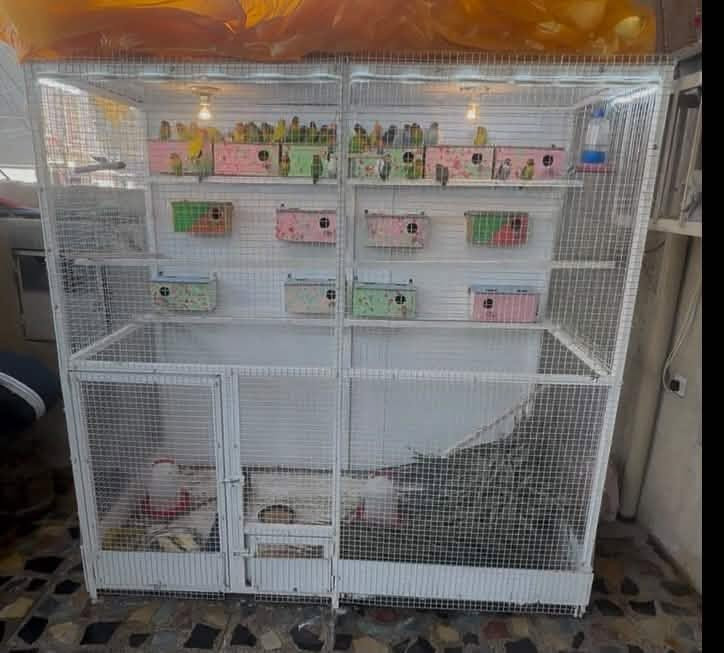 متاح قفص حديد درجة اولى ثقيل
ارتفاع 2 متر عرض 2 متر نزال 1 متر
يتكون من 4 طبقات بي ار سي ثقيل و4 طبقات بلوك خشب بلاويد الثقيل للسقف والظهر والارضية نظافه 90‎%‎
مكاني بغداد الدورة 
امانة الله كلفني 425 الف واريده ب300 الف
يرهم لطيور الحب او الغندور او الكوكتيل او الدره او طيور زينة للاتصال ***********
