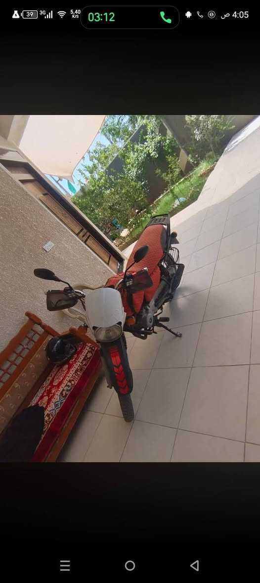 دراجه بوكسر موديل 19مكفوله من كلشي كهربايات كلهه شغاله خير من الله محرك مجفت ستحقاق +اوراق ماكو اكفل سرقة+عشائرين  سعرهه -700 وبيهه مجال
***********
