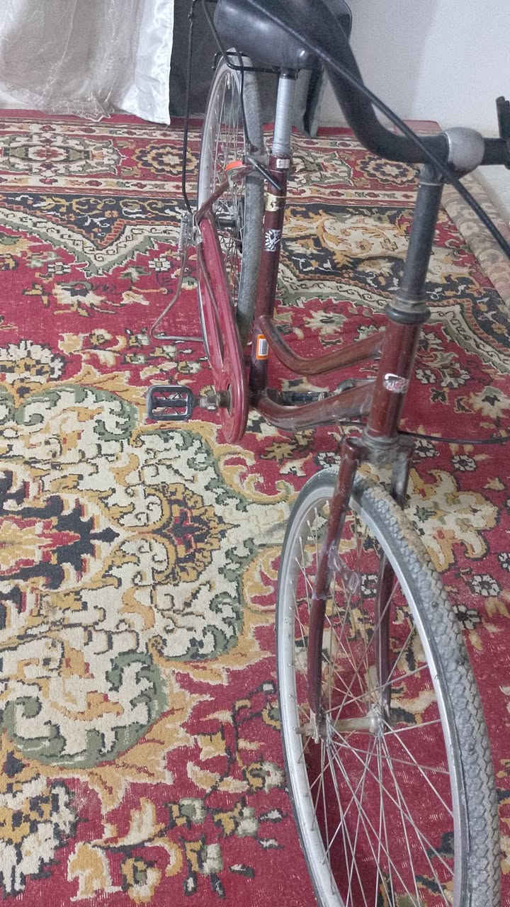 سلام عليكم  بايسكل للبيع حجم ٢٦ بي شغلات بسيطه نقص رايده ب٤٥بي مجال


**إذا كنت صاحب هذا الإعلان وتريد حذفه لأي سبب، رجاءا أرسل رسالة إلى الدعم الفني**