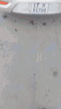 السلام عليكم أكسنت ٢٠١٦ وارد كوري مكينة  gt بيها تبديل باب وجاملغ بدون اي شي في الداخل بأسمي ب٩٣ للاتصال ***********
بغداد بوب الشام
