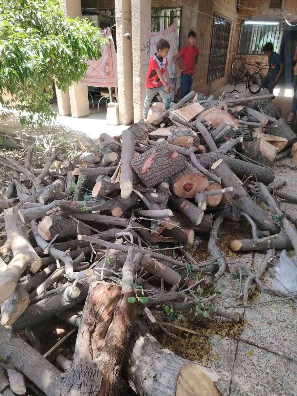 جاهزون لقطع الأشجار والنخيل العالقة بالاسلاك الكهربائية والعملاقة والصعبة بكادر متخصص للاتصال ***********
 الجميع الجميع الرقام التاليه يوجد وادساب
