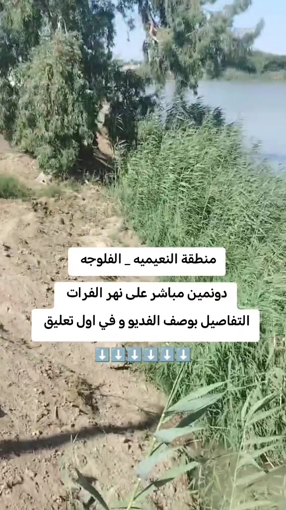 دونمين شاطئية مباشرة على نهر الفرات في منطقة النعيمية_ الفلوجة 
طابو  سند 25 تحويل مباشر على طابو الفلوجة
الوجه 26  على الشط ومن يم الشارع 31 
والنزال 150
التحويل مباشر من صاحبهن 
السعر 250 مليون قابل للتفاوض 
التواصل والاستفسار 
اتصال و واتساب 
***********
