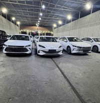 بي واي دي كن بلص • هايبرد • ٢٠٢٥