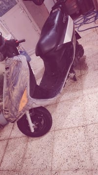 فراشه • نظيفه • شغاله