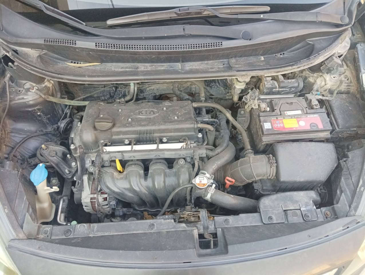 للبيع – كيا ريو 2015 وارد خليجي 

 بدون حادث 
▪️ الملاحظات: فقط تكحيلات  
اللون رمادي 
- محرك 1600 (دوش – قطرتين)
- تحكم ستيرن
- مرايات شفط
- إشارات مرايات
- سونار موجود
- تخم تاير جديد حاليا 
- صدر جيد جدا
تبريد شغال جيد جدا 
ا
▪️ الرقم: قادسية  وباسمي
▪️ السنوية: غير منتهية الصلاحية
▪️ الوارد: خليجي

 ***********

بابل المدحتية
