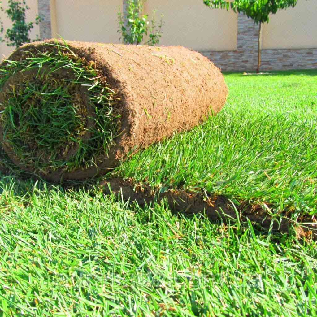 🌿✨ متوفر ثيل طبيعي درجة أولى ✨🌿
نوفر لكم أجود أنواع الثيل الطبيعي وبأفضل الأسعار 💯
🌱 (هندي - أمريكي - إيطالي - فرنسي - إنكليزي)
✅ مناسب لـ:
🏡 الحدائق المنزلية
🌳 المنتزهات
⚽ الملاعب
🏢 الدوائر الحكومية والمشاريع
💚 جودة عالية وخضار دائم
🚚 توصيل سريع لكافة محافظات العراق
🎁 أسعار منافسة وعروض خاصة للكميات
📞 للحجز والاستفسار:
راسلنا خاص أو اتصل على الرقم
🌿 خلي حديقتك جنة خضراء بأجمل أنواع الثيل 🌿
واتساب/ ***********
اتصال/ ***********

