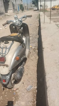 عبد الحليم • بغداد • جزيره سياحيه