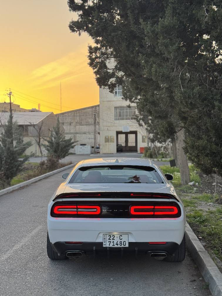 🤍سلام عليكم شباب انشالله الكل بخير🖤
سيارتي للبيع Challenger 2019 V6
السياره مواصفات ال٦ سلندر:
🤍شاشه وسط
🤍كشنات كهرباء جلد احمر
🖤شفتات ستيرن
🤍كامره خلفيه حساس
دكمهSport
🤍لايتات ليد
🖤الاضافات:
🤍جناح Demon
🤍دفيوسرSRT
🖤وياله هيلكات ٢٠
🤍وايدبودي
🤍دعاميهSRT
🖤لحيهSRT
🤍سكف روزرايز
وبعد....
السياره بيه ٣ جملغات وشبر صبغ ثنين خلفي واحد امامي بجم كبس بدون دواخل بدون ارباك فقط تكمه صدر امامي خلفي بانصات منضومه بازنزين دهن هزه سنويه كلشي جديد كير محكر تحويل غرامه شرط مابيه ٢٥٠ مصرف ماشيه ٦٧ الف مكانه سليمانيه وسعره (١٥٨) وبيه مجال و تدللون اسف عل اطاله

🤍🖤🤍🖤🤍🖤🤍🤍🖤🤍🖤🤍🖤🤍🖤
-***********

🖤🤍سلاو هاوريان هيوام باشيتانه🤍🖤
سەیارەکەم بۆ فروشتن Challenger 2019 V6
مواصفاتی ٦پستونە:
🖤شاشە وسط
🤍کوشن کارەبا جلدی سور
🖤کیر سەر سوکان
🤍کامێرە حاسە
🤍٣ جورێ سوکان
SPORTدكمه🖤
🖤لایت لێد
🤍بالێ Demon
🤍دفيوسرSRT
🖤وياله هيلكات ٢٠
🤍وايدبودي
🤍دعاميهSRT
🖤لحيهSRT
🤍سكف روزرايز
زوری تر.....
سەیارەکە ٣ پارچەوپەلەیک بوێاغە ٢ چەمەلەغ پشتەوە دانێکی پێشەوە بێ ناو بی إرباگ تەنها شان هەموو شتێکی تازەیە تاقم پیش رون فێت پەمپ هەزە سەنەوێ ٦٧ هەزار روشتوە شوینێ سلیمانیە نرخی (١٥٨) ومەجال لەخزمەتانام
🤍🖤🖤🤍🖤🤍🖤🤍🖤🤍🖤🤍🖤🖤🤍🤍

☆*********** السليمانية, العراق
