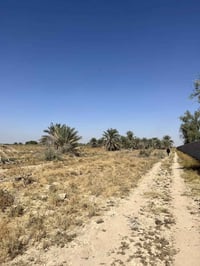 أرض زراعية • ٢٥ دونم • طابو رسمي