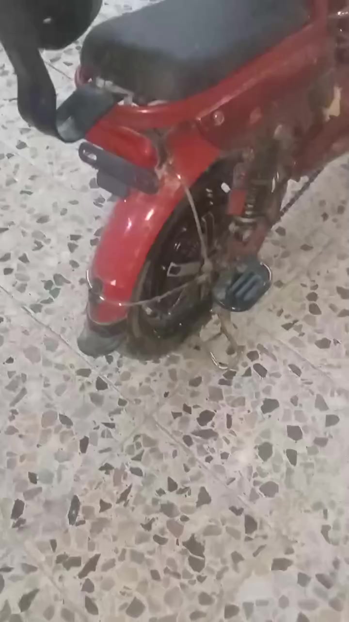 السلام عليكم دراجه شحن حجم 16 دراجه شغاله كل شيء ما بيها السعر 185 بغداد مدينه الصدر


**إذا كنت صاحب هذا الإعلان وتريد حذفه لأي سبب، رجاءا أرسل رسالة إلى الدعم الفني**