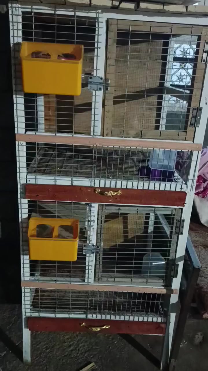 خانات للبيع 40الف جديده جرارات معالف وطور ماء الي يريد يراسلني وبالخدمه


**إذا كنت صاحب هذا الإعلان وتريد حذفه لأي سبب، رجاءا أرسل رسالة إلى الدعم الفني**