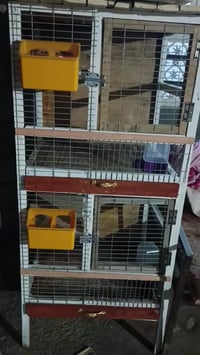 خانات • جديدة • طور ماء