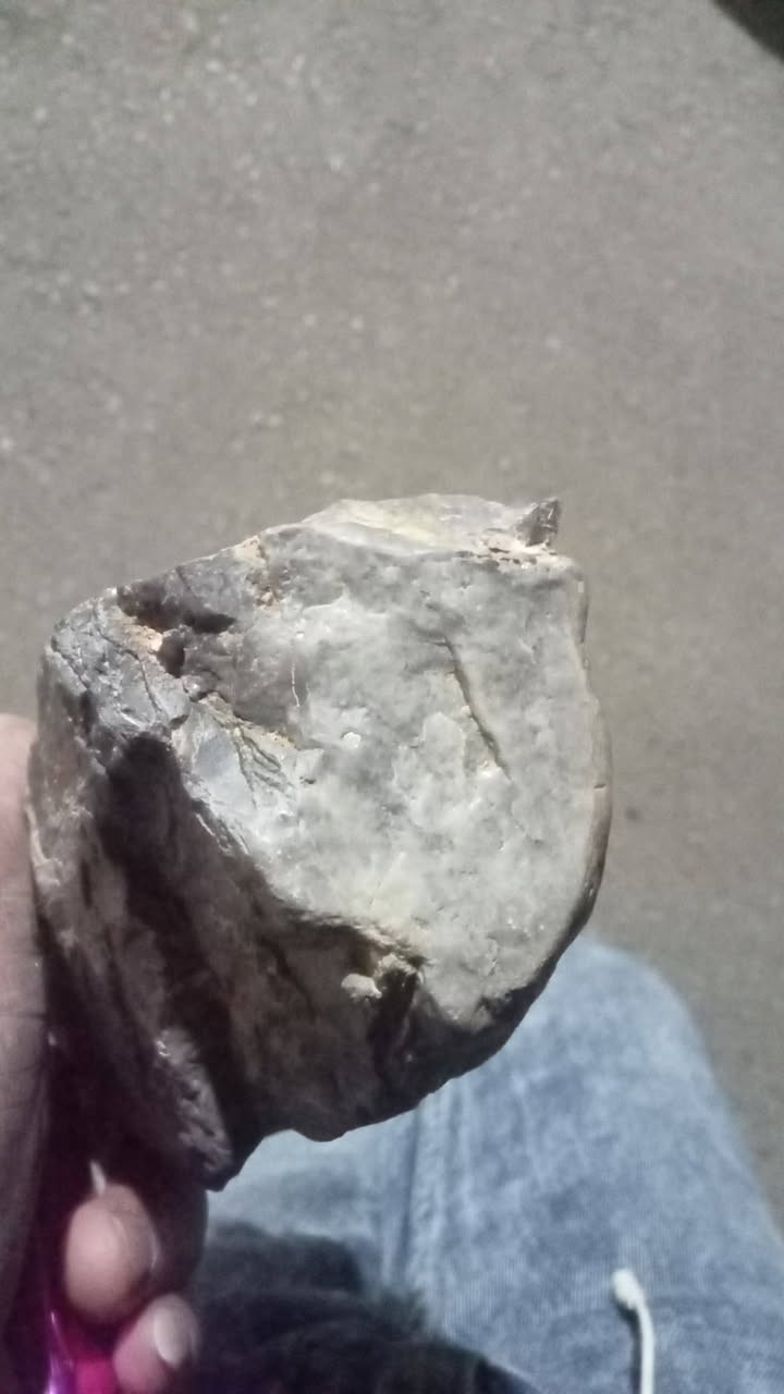 خشب حجري  عمره ملايين السنين


**إذا كنت صاحب هذا الإعلان وتريد حذفه لأي سبب، رجاءا أرسل رسالة إلى الدعم الفني**