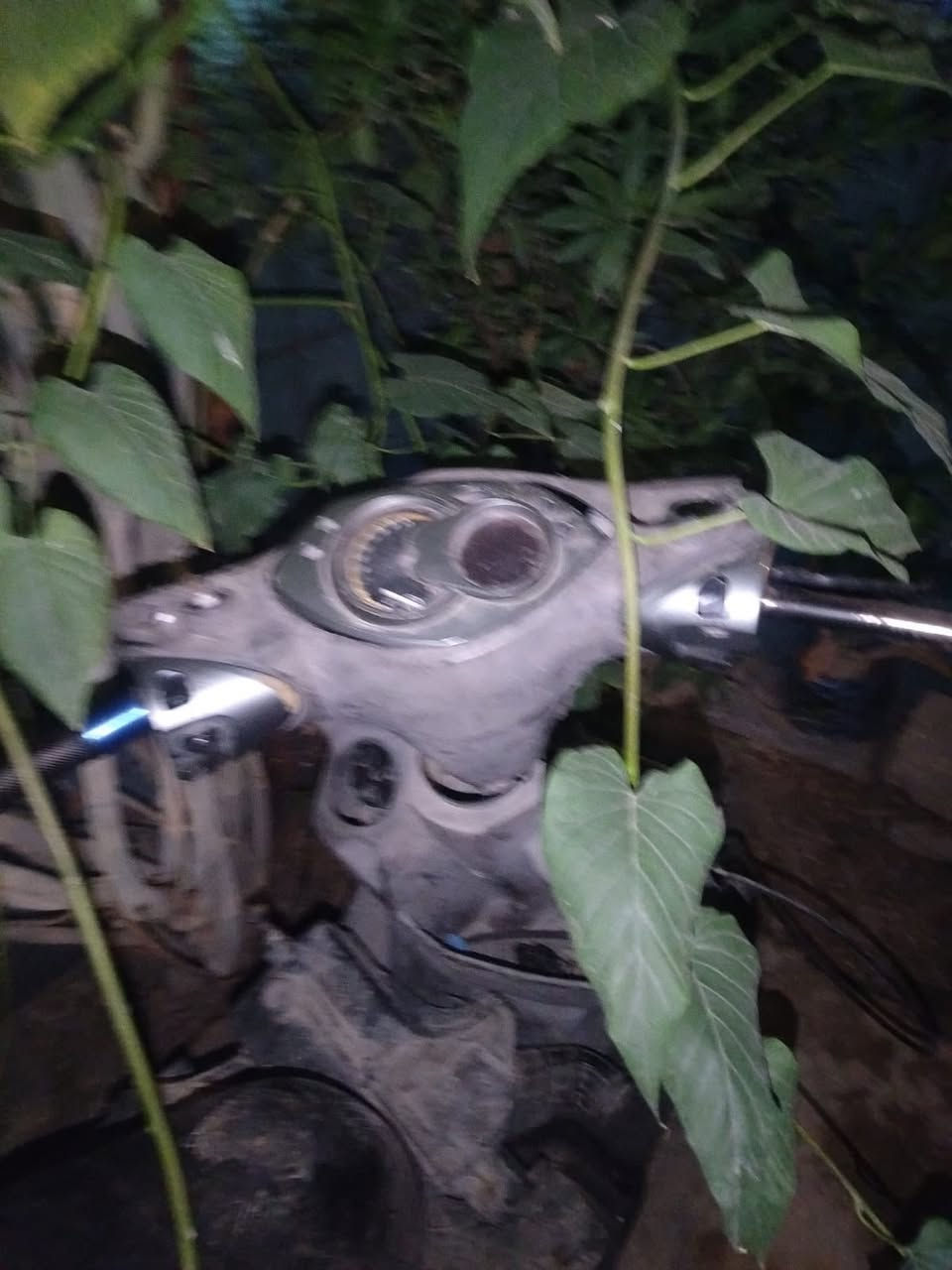 السلام عليكم سكنس فحل دراجه بجمه موجود وبيه بوشه ٥٨ ونص ومعدل مكينه شي بسيط وبيه صالنصه رياضي ولكفراته نظيفه مرتبه ودراجه مكينه ناعمه بس طفت عندي وشوي مامتفرغله وبيه اتوقع كويل وبلك ولمكينه مقبطه عل ايدينه مابيه اي نقص كهربائيات شغاله بس دشبول عوزه تصليح الدراجه ابيع كوم حديد هل موجود ب٣٥٠ وبيه مجال واني خادم *********** بي وتساب او تفضل خاص
