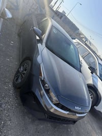 فورتي • ٢٠٢٤ • رقم شمالي