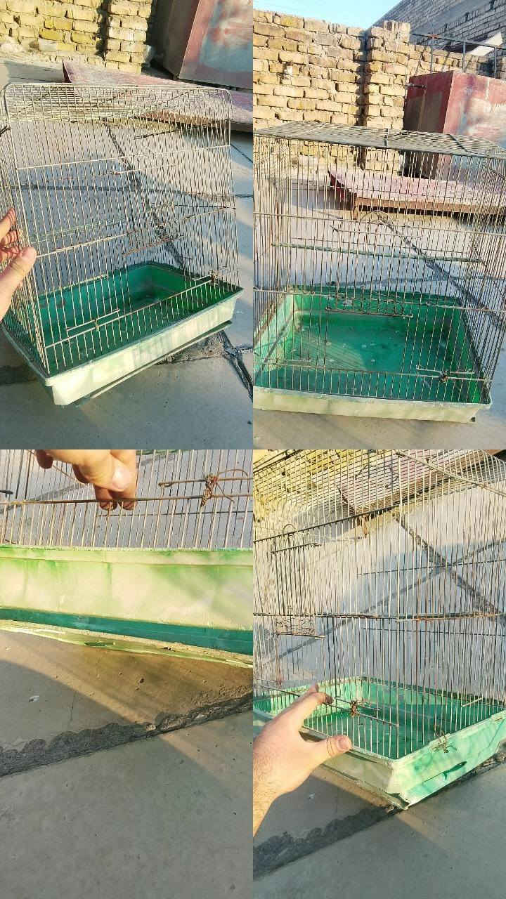 3 اقفاص للبيع 
حجم كبير 
مكانهن بغداد سيديه 
تفاصيل اكثر بل تعليق او خاص


**إذا كنت صاحب هذا الإعلان وتريد حذفه لأي سبب، رجاءا أرسل رسالة إلى الدعم الفني**