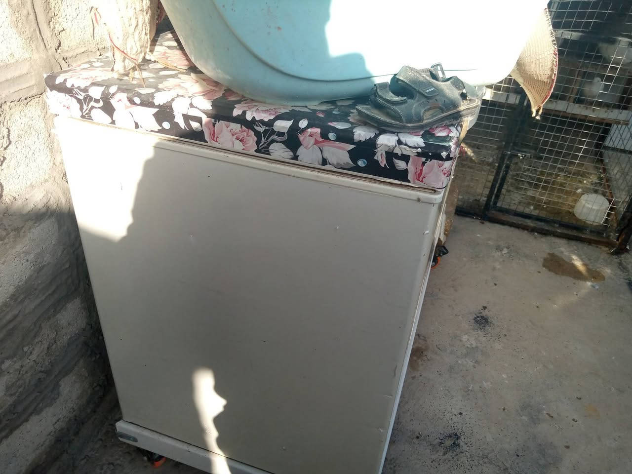 سلام عليكم مجمده لبيع فول ناضفه السعر ١٣٠ بي مجال قليل مكاني كركوك حزيران غرب جماعات  ***********
