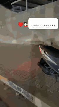 السلام عليك
الدراجه ماكس عدله 
بيه اشاير إصليات 
بيه قبق فلاوين اصلي 
بيه قبق عمبار اصلي 
بيه تعلاگه اصليه
بيه قبضات إصليات
كفرات ختم واحد ويه الماكينه 
الدراجه خير من الله الدراجه أصولي منفيست ومكاتبه 
مكاني بصره ام قصر 
للاستفسار ***********
ملاحظه لمو شراي لا يدخلي
