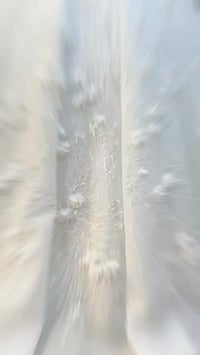 فستان زفاف • ألمى • تفصيل حسب الطلب