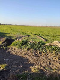 ارض زراعيه • 53 دونم • طريق سد الدغاره