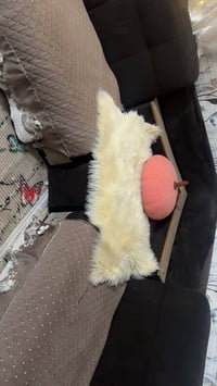 كورنر • يتحول لسرير • بمخزن