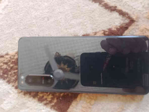 سوني اكسبريا 5 ذاكرة 128 جهاز قوي ومواصفات قويه وكامره قويه  فطر فوك بشاشة وضهربي زلغه زغيره تعبان لون شاصي موضح كدامك جهاز مال استخدام مال لعب ل ابنك الك بسعر مناسب كله شغال صوت شريحه اتصال واي فاي 200 جماعت ل100 شوفولكم a10
200 قفل عمارة ميسان قادسية حي الجهاد كراج الفورتات ***********
