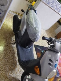 فله • حديث