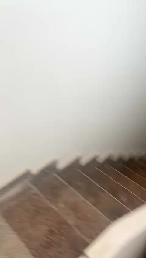 للبيع بيت 
ع الساحه الشعبيه 💥

4 ادوار تشطيب سوبر لوكس 

عمدان 😌💥

90 متر صافي 🔥
3غرف وصاله ومطبخ وحمام..

دور الدور الاخير ال ف الفيديو 
كله نفس التشطيب 💥🗣️🔥

تاني نمره من الشارع 💥💥

جميع العدادات موجوده 👌♥️

بسعر 🔥🔥🔥🔥🔥🗣️🗣️🗣️

ل التفاصيل والمعاينه 

01147771405


**إذا كنت صاحب هذا الإعلان وتريد حذفه لأي سبب، رجاءا أرسل رسالة إلى الدعم الفني**