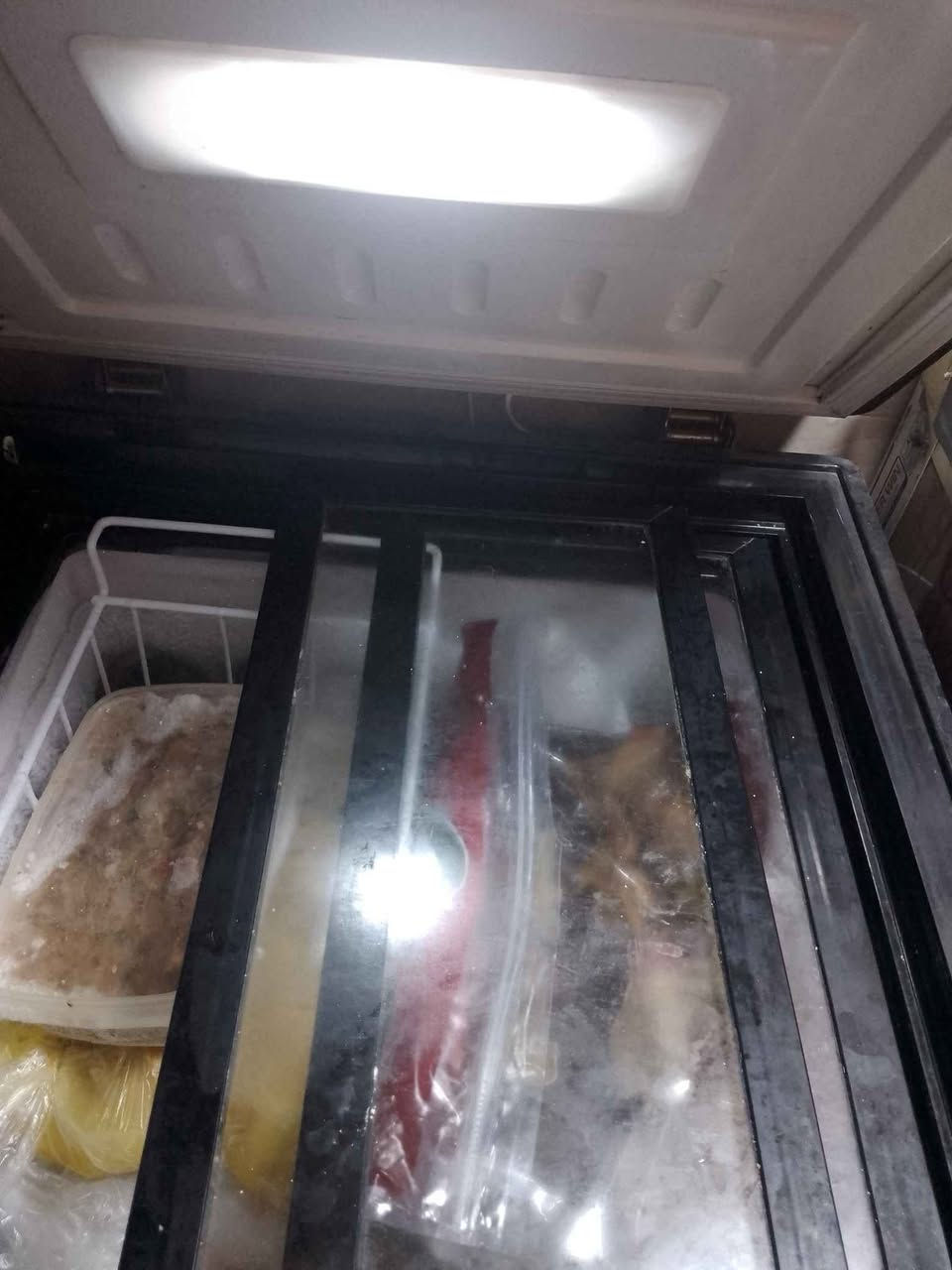 مجمده كلش جديده مامستخدمه موسم واحد ولا داخله تصليح تبريدها يخبل وماتسحب هواي كهرباء نص امبير  مكاني لبياع واكو توصيل ب كروه بغداد, العراق


**إذا كنت صاحب هذا الإعلان وتريد حذفه لأي سبب، رجاءا أرسل رسالة إلى الدعم الفني**