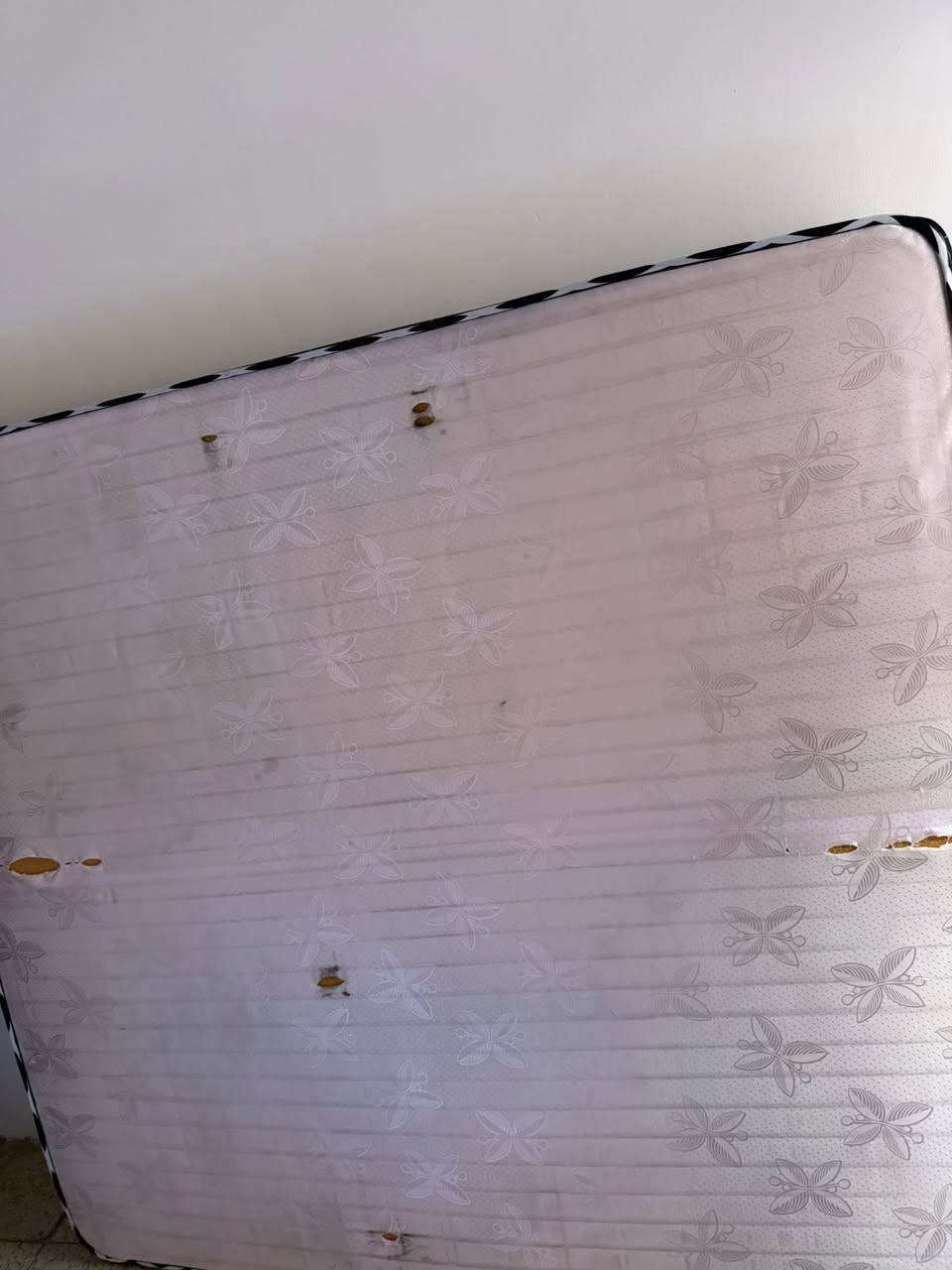 دوشك نفرين (مترين *180) ب 60 مكاني بغداد الشعب


**إذا كنت صاحب هذا الإعلان وتريد حذفه لأي سبب، رجاءا أرسل رسالة إلى الدعم الفني**