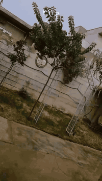 السلام عليكم بيت للبيع السعر 22 مليون وبيها مجال العنوان كركوك الفيلق قرب فلكة كاوه المنطقه كامل خدمات ماء كهرباء رقم المبايل***********📞
