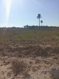 هبهب ديالى • ٢دونم • ملك سند