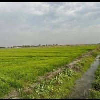 الكاع • كاع • ماء وكهرباء