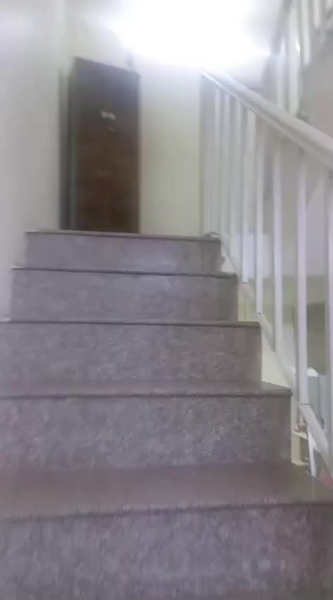 السلام عليكم
الدار للبيع 100متر 
جزيرة بغداد السياحيه مركز شرطه الفحامه مقابيل مدرسه ابن الجوزي 
الاستفسار ***********
