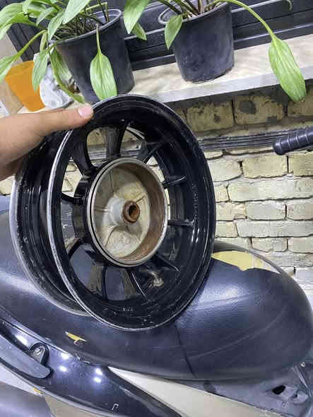 ويل سكنس فلح ولد ونثية للبيع مكفول عواج وبريك مكاني حي أور رقمي ***********
