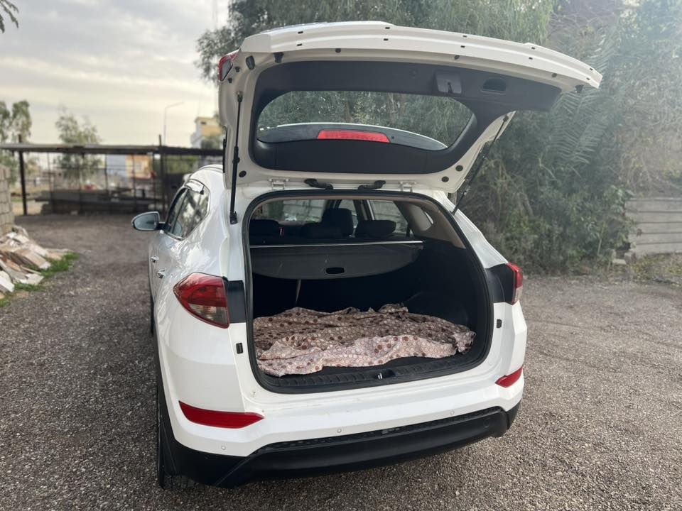 توسان موديل 2018 رقم ديالى دولي بسمي تحويل ثاني يوم مكفولة كفالة عامة محرك 2000 دوش سيارة جاهزة تبريد تدفئة تخم تاير جديد باتري جديد مواصفات مري كهرباء وشفط تحكم ستيرن جهتين شباك نيكل داخل صحراوي مغلف كامرة خلفية بلادي دبل سويج السعر 185 وبي مجال مكان ديالى ناحية السلام رقم الهاتف ***********
