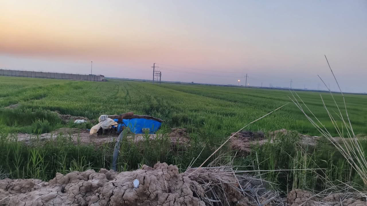 توجد ارض زراعيه للبيع 13دونم تبعد عن الشارع العام كيلو موقع الارض واسط الاحرار قرب  حقل الاحدب النفطي وعلى صدر الكاع شارع سبيس مياه صيف شتاء متوفر للاتصال او الستفسار ***********
