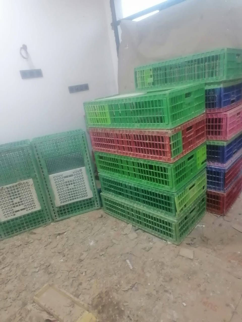 اقفاص دجاج للبيع شلعه وحده عددهن واحد وعشرين قفص سعر الزوج 25


**إذا كنت صاحب هذا الإعلان وتريد حذفه لأي سبب، رجاءا أرسل رسالة إلى الدعم الفني**