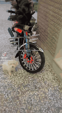 السلام عليكم 
دراجه ايراني للبيع  موديل (2025) شهر 10

دراجه علا وضع الشركة بعده نايلون شركه 
لاستيك التار بعده بي 
 تجي تأخذ الي بالصوره 
مكينه 200c الون الاسود مرغوب 
سولنك درجه اولى حفر 
بصمات 2+سوجات 2
                             ((السعر 970بيها مجال للشراي ))
اوراق الدراجه كامله 
مكاني بغداد فلكه حي النصر 

 للتواصل ه‍‏***********‏
