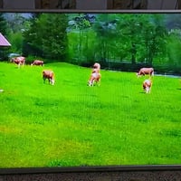 جنرال • ٥٠بوصة • سمارت فول نت