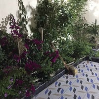 ١١٠م • واجهة ٥ وربع • قرب صفي الدين