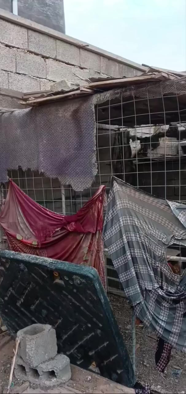 السلام عليكم...
يوجد هذا القفص كبير مال دجاج أو غنم وجديد مثل ما موجود بل صور والمقطع  ولحيمه جديد وقوي
سعره =80. الف وبيه مجال بسيط


**إذا كنت صاحب هذا الإعلان وتريد حذفه لأي سبب، رجاءا أرسل رسالة إلى الدعم الفني**