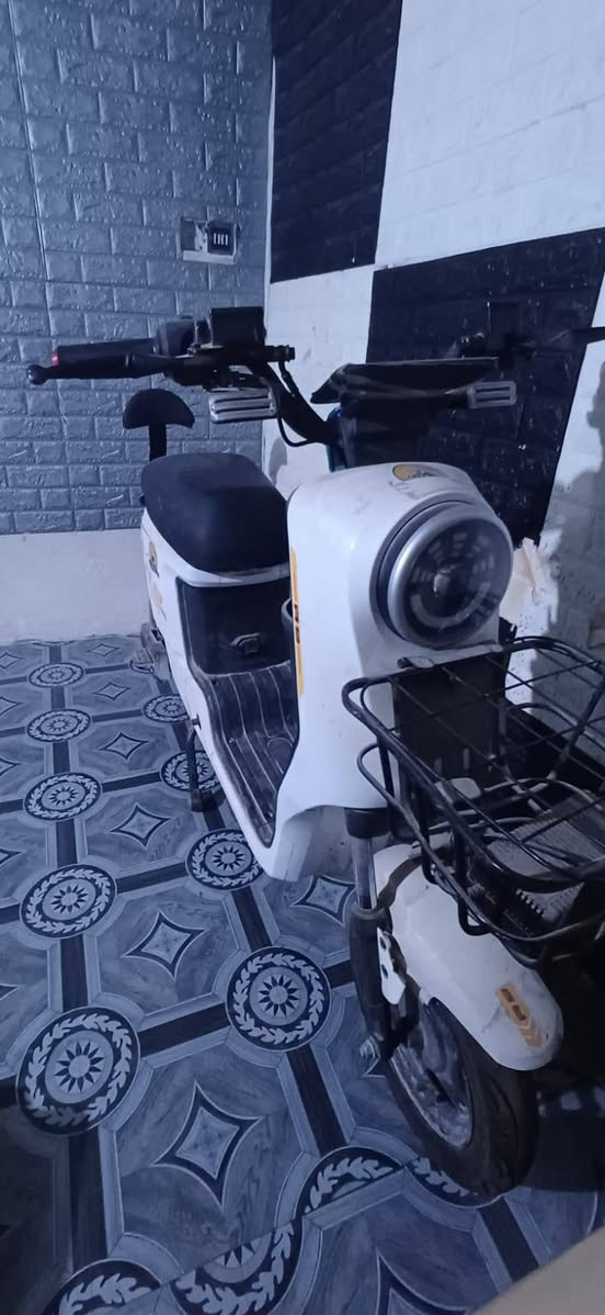 للبيع دراجه كهربائيه نظيفه عطله بطاريه رايدته ٢٥٠وبيه مجال


**إذا كنت صاحب هذا الإعلان وتريد حذفه لأي سبب، رجاءا أرسل رسالة إلى الدعم الفني**