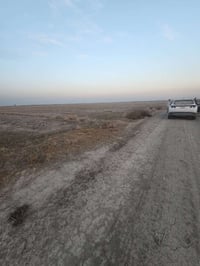 اخوني50دونم طابو سند 25 سعر الدونم 7مليون وبي مجال  موقع كلش مرتب ثاني...