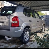 توسان • ٢٠٠٩ • بدون صبغ