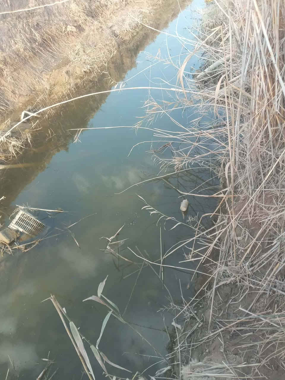 سلام عليكم
أرض زراعيه للبيع المساحه ١٤دونم ناحيه فدك المزاك 
ذنايب  في قريه الانتصار للستفسار أتصال على هذا الرقم***********
