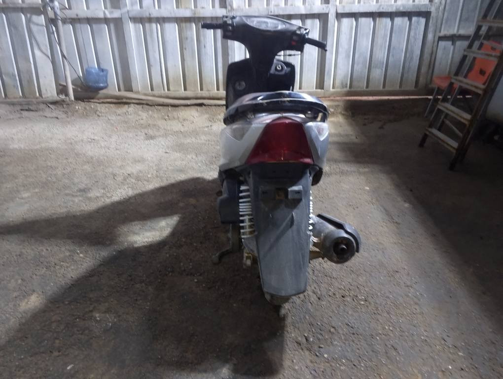 ماكس ثعلب بيع او مراوس السعر 300 مكان بغداد وره سيطره الشعب القديمه *********** بغداد, العراق
