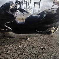 ماجسته • كمرك كامل • باقي الرقم